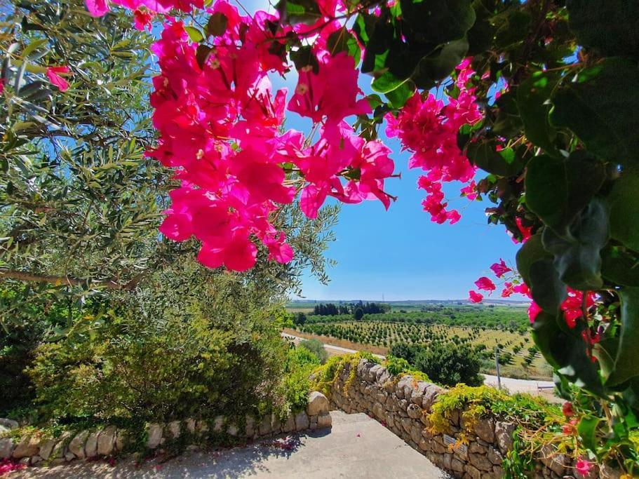 Villa Calma Noto Exteriör bild