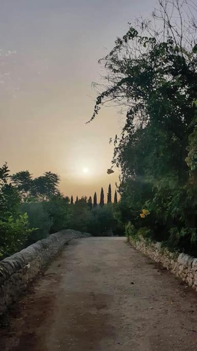 Villa Calma Noto Exteriör bild